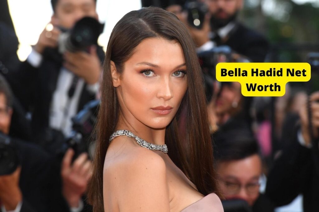 Bella hadid Net Worth 2022