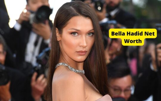 Bella hadid Net Worth 2022